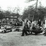 Photographie d'archive Bergen-Belsen 5